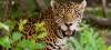 Photo for Jungle Resort Near Delhi