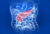 Photo for Exocrine Pancreatic Insufficiency Market to Reach US$2.85 bn by 2023; Difficult Drug Approval Procedures Could Hamper Growth