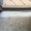 Photo for Peoria Carpet Repair & Cleaning