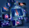 Photo for Know Your Pain Treatment Options