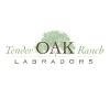 Photo for Tender Oak Ranch Labradors