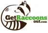 Photo for Get Raccoons Out