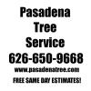 Photo for Pasadena Tree Services