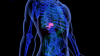 Photo for Global Nuclear Medicine/Radiopharmaceuticals Market expected to surpass more than US$ 4.0 billion by 2020