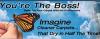 Photo for You're The Boss Carpet and Tile Cleaning