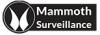 Photo for Mammoth Surveillance Camera Systems