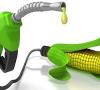Photo for SMR: Global Biofuels Market size and Key Trends in terms of volume and value 2020