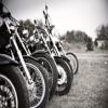 Photo for Trans Global Motors LLC