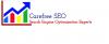 Photo for Carefree SEO