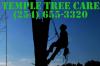 Photo for Tree Service Temple Tx
