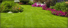 Photo for Michelangelos Lawn Care Service
