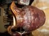 Photo for C & R Living Antiques & Collectibles
