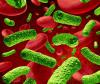 Photo for Bacterial Disease Diagnostics Market, Global Industry Analysis, Size, Share, Growth, Trends and Forecast 2015 - 2021