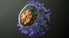 Photo for Bispecific Antibodies Market - Global Industry Perspective, Comprehensive Analysis and Forecast, 2015 – 2021