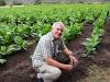Photo for Cigar Online store