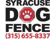 Photo for Syracuse Dog Fence
