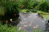 Photo for GEM Ponds