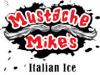 Photo for Mustache Mikes 365