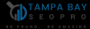 Photo for Tampa Bay SEO Pro