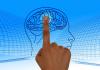 Photo for Rising Application in Entertainment and Healthcare Industries to Boost Global Brain Computer Interface Market