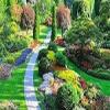 Photo for Campbell's Lawncare & Landscaping