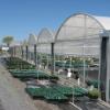 Photo for Southern Oregon Greenhouses and Grow Supplies