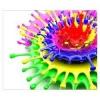 Photo for Global Dyes Market Dynamics, Forecast 2020 by Syndicate Market Research