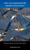 Photo for Bioinformatics Market has improvingly gained much of significance in the past few years.