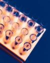 Photo for Global Clinical Trials Imaging Market Growth, Trends, Forecast 2015 - 2020