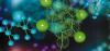 Photo for Nanocellulose Market: high applications in various end user industries owing to its properties