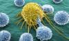 Photo for Global Cancer Immunotherapy Market analysis and Value Chain 2015 - 2020