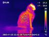 Photo for Border Security Threats to Drive Global Thermal Imaging Market