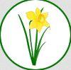 Photo for Landscape Creations Ltd