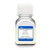 Photo for Penicillin and Streptomycin Market: North America leads the market with high market shares.
