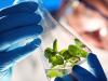 Photo for Global Iodine Market will Reach US$ 1,679.4 Mn by 2024 : PMR