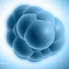 Photo for Report on Cell Expansion Market Research - Trends, Growth, Forecasts, Applications and Demand 2015 to 2022