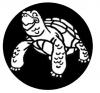Photo for Russian Tortoise Care Center