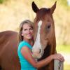 Photo for Horse Transportation Colorado Springs