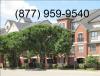 Photo for Nashua Tree Service
