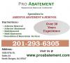 Photo for Mold Remediation NJ