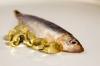 Photo for Global Fish Oil Market 2014 – 2020