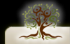 Photo for Living Montessori Education Community