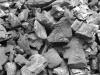 Photo for Global Wood Activated Carbon Market to Reach US$456.0 mn by 2024 owing to Environmental Regulations on Mercury Emissions