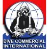 Photo for Dive Commercial International