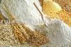Photo for Nutritional Premixes Market revenue fostered by increasing use of nutritional caravan ingredients.