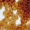 Photo for Global Chromatography Resins Market Analysis,share, size, trends 2020 by SMR