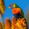 Photo for Five African Adventures for the Outdoorsy