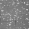 Photo for Automated cell counter ensures low technical variability & accurate results in biomedical researches
