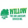 Photo for Willow Tree & Landscaping Services