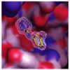Photo for Fragment-based Drug Discovery Market is projected to increase value US$0.4 bn to US$1.2 bn During forecast period 2016-2023